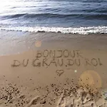 Climatise Avec Piscine, Proche Et Centre, Parking Prive - 4 Couchages - Fr-1-250-146 Le Grau-du-Roi