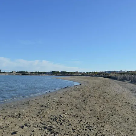 Apartment Climatise Avec Piscine, Proche Et Centre, Parking Prive - 4 Couchages - Fr-1-250-146 Le Grau-du-Roi